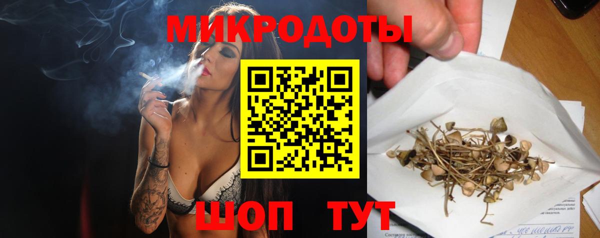 Псилоцибиновые грибы Psilocybe  Вход с VPN  Азнакаево 